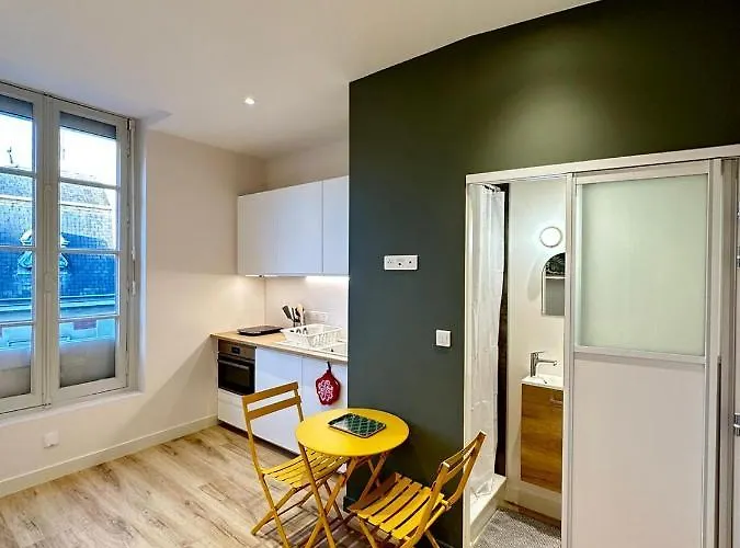 Bressigny/t1/centre-ville/wi-fi Appartement *